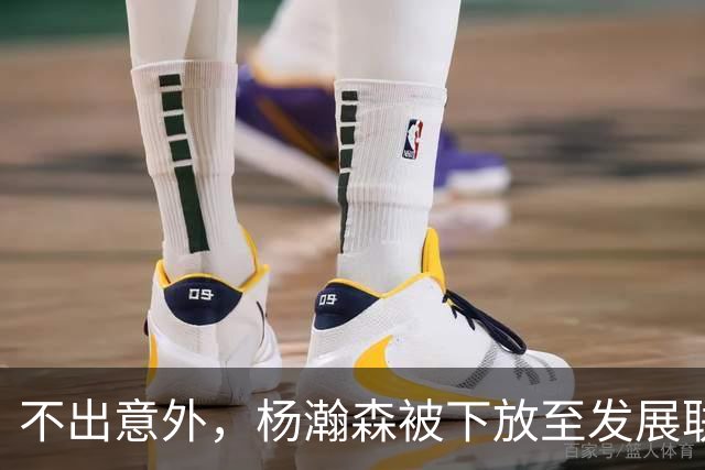 不出意外，杨瀚森被下放至发展联盟，距离球队是否续约还剩 6 天