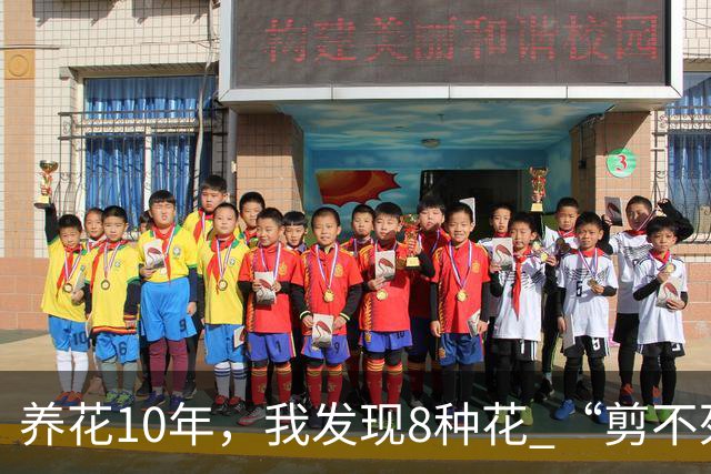 养花10年，我发现8种花 “剪不死”反而会越长越旺，比施肥都管用