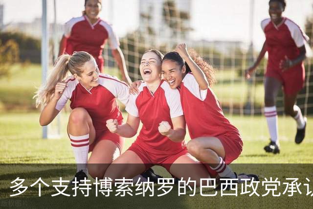 多个支持博索纳罗的巴西政党承认卢拉胜选