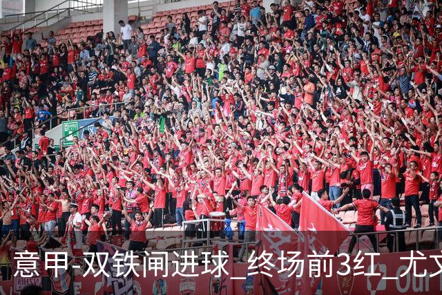 意甲-双铁闸进球 终场前3红 尤文2球落后2-2战平