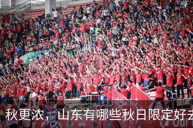 秋更浓，山东有哪些秋日限定好去处？