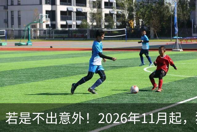 若是不出意外！2026年11月起，猪肉，鸡蛋，蔬菜或迎来“大变局”