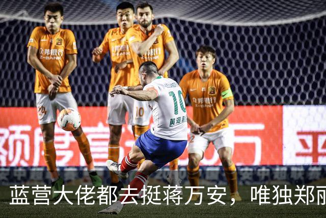 蓝营大佬都去挺蒋万安，唯独郑丽文缺席，她到底在忙什么？