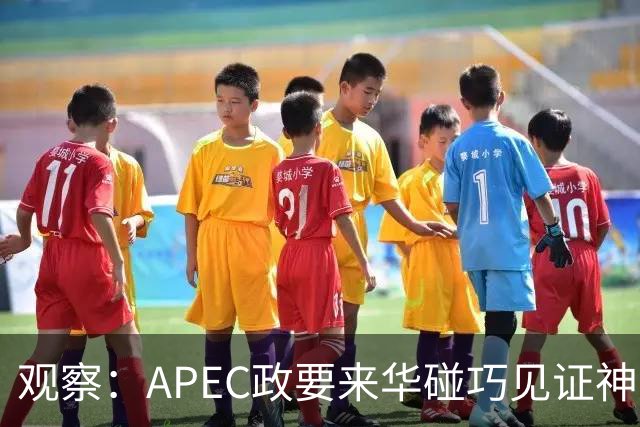 观察：APEC政要来华碰巧见证神舟升空？