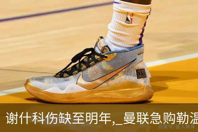 谢什科伤缺至明年, 曼联急购勒温补锋线