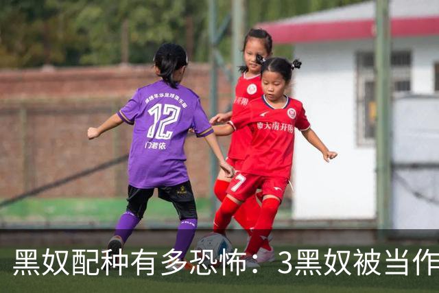 黑奴配种有多恐怖：3黑奴被当作配种工具，子女无数。